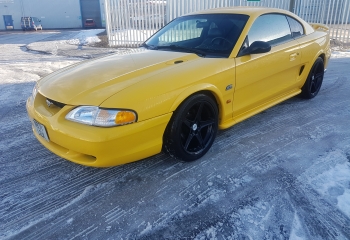 Mustang 5.0 GT
